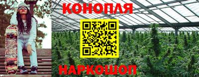 прущие грибы Кунгур