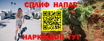 прущие грибы Кунгур