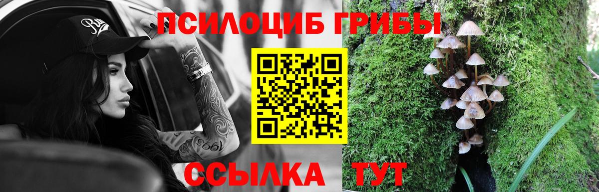Галлюциногенные грибы прущие грибы  купить  цена  Галлюциногенные грибы прущие грибы  Троицк  Вход с VPN 