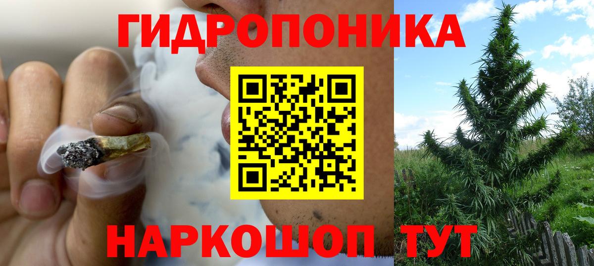 Бошки марихуана сатива Троицк